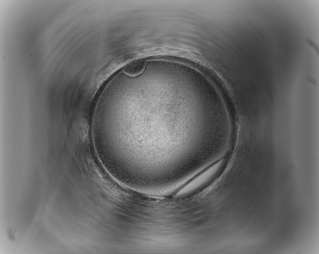 X0000100341505200806051526
