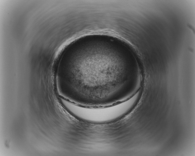 X0000100341506200806051526