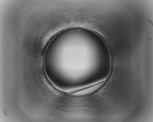 X0000100341507200806051526