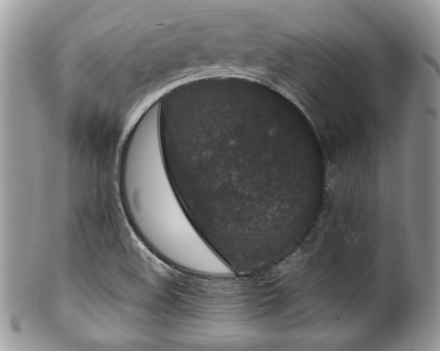 X0000100341508200806051526