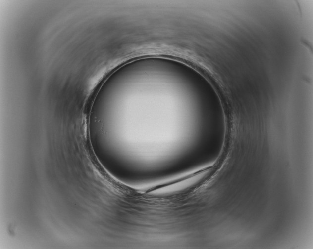 X0000100341509200806051526