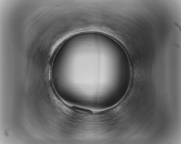 X0000100341510200806051526
