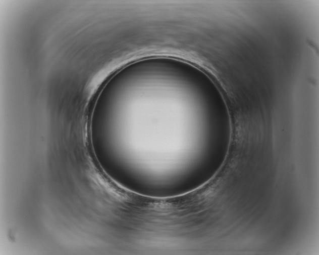 X0000100341511200806051526