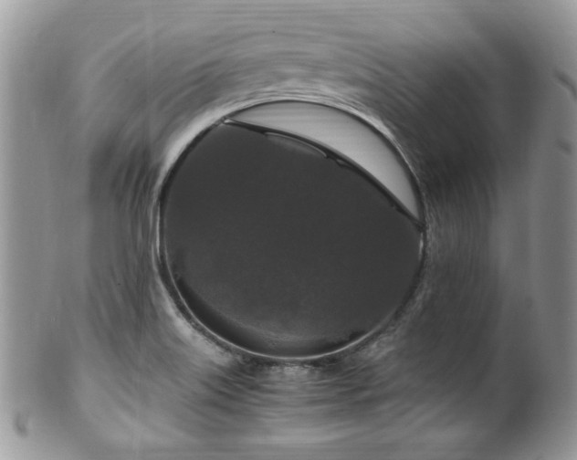 X0000100341515200806051526
