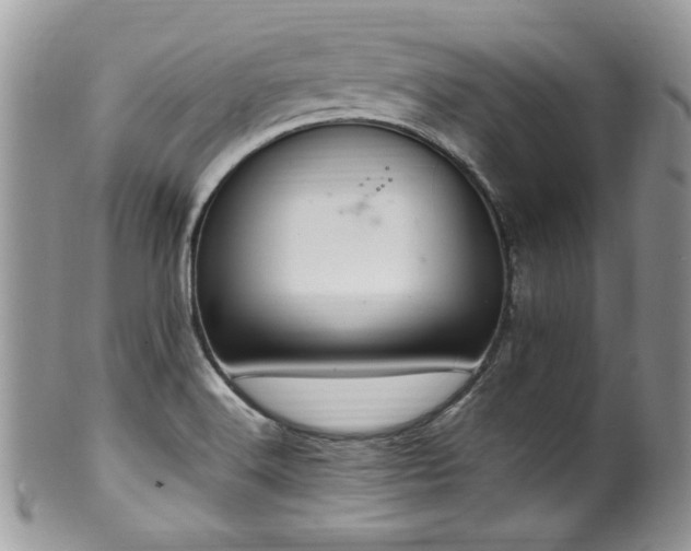 X0000100341516200806051526