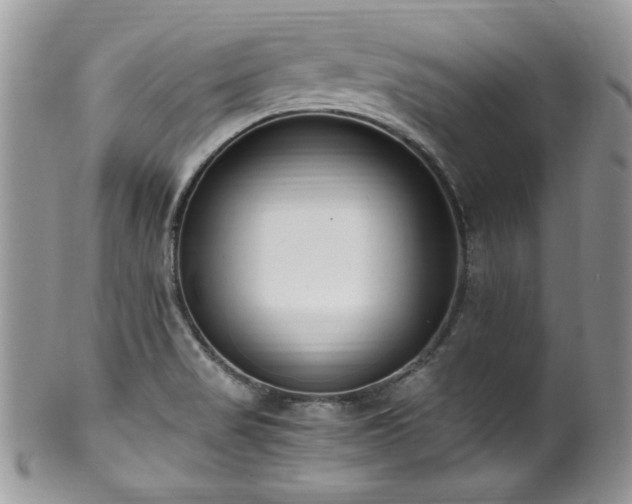 X0000100341517200806051526