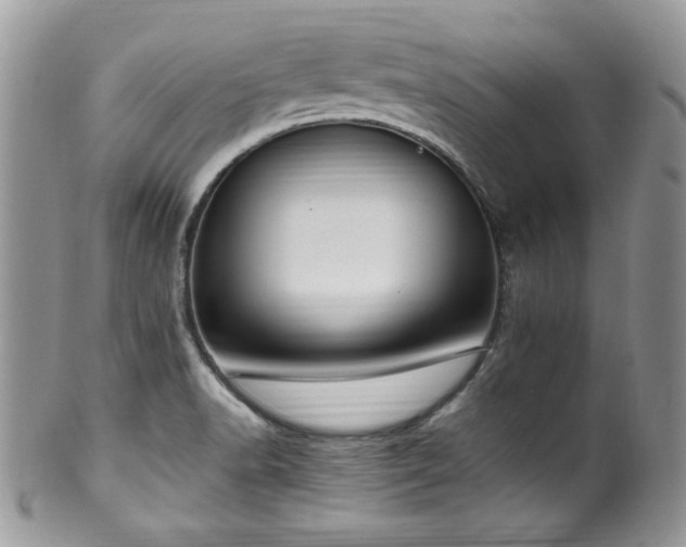 X0000100341518200806051526