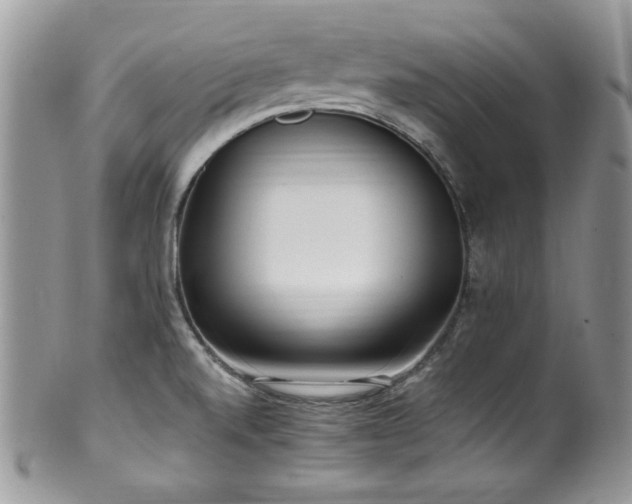 X0000100341520200806051526