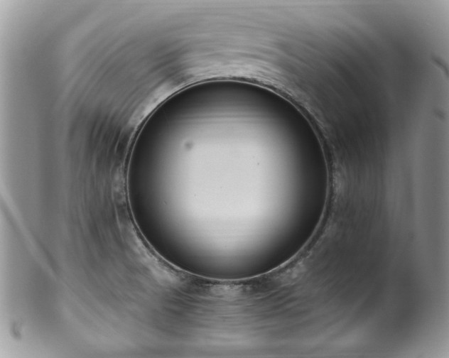 X0000100341521200806051526