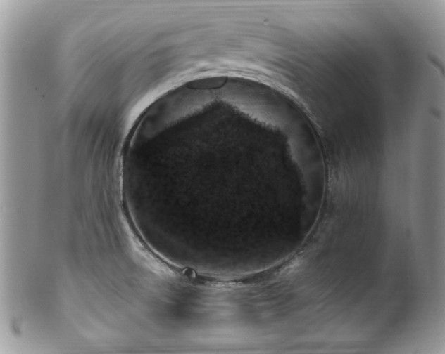X0000100341522200806051526