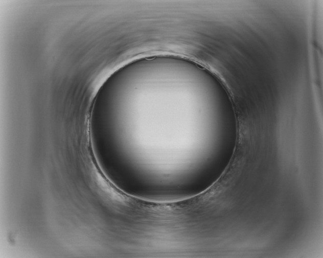 X0000100341524200806051526