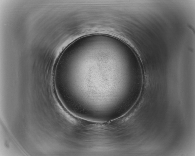 X0000100341525200806051526