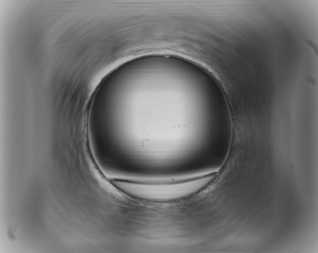 X0000100341526200806051526
