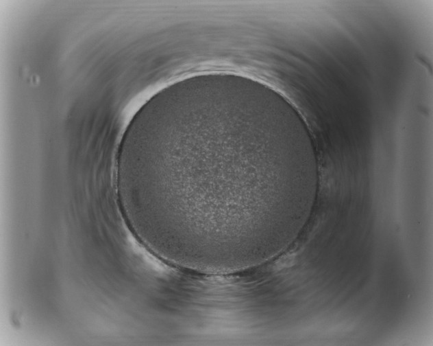 X0000100341527200806051526