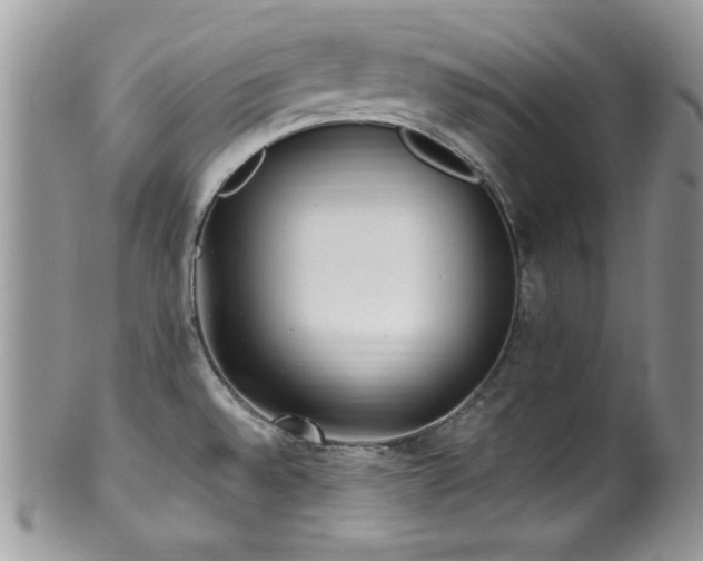 X0000100341528200806051526