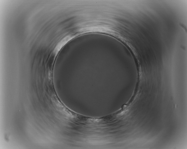 X0000100341529200806051526