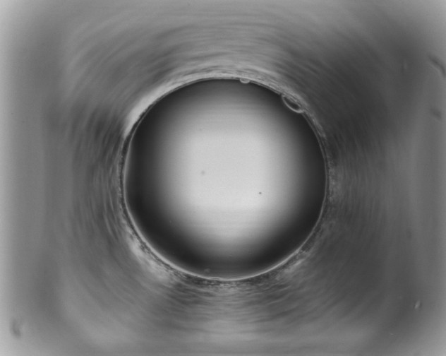 X0000100341530200806051526