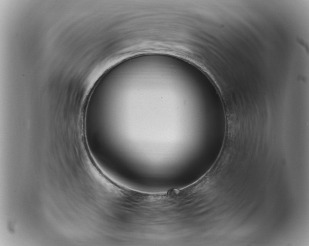 X0000100341531200806051526