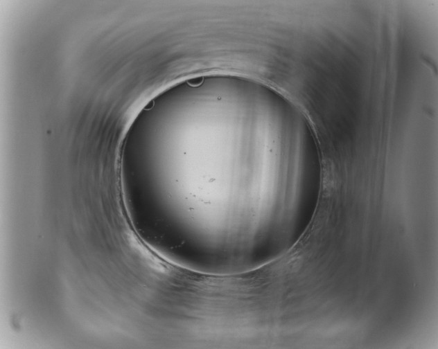 X0000100341532200806051526