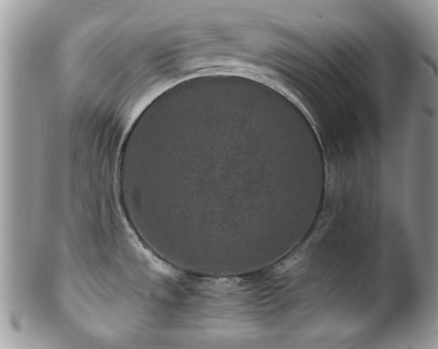 X0000100341533200806051526
