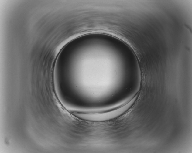 X0000100341534200806051526