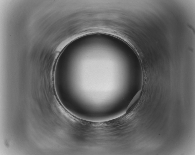 X0000100341535200806051526