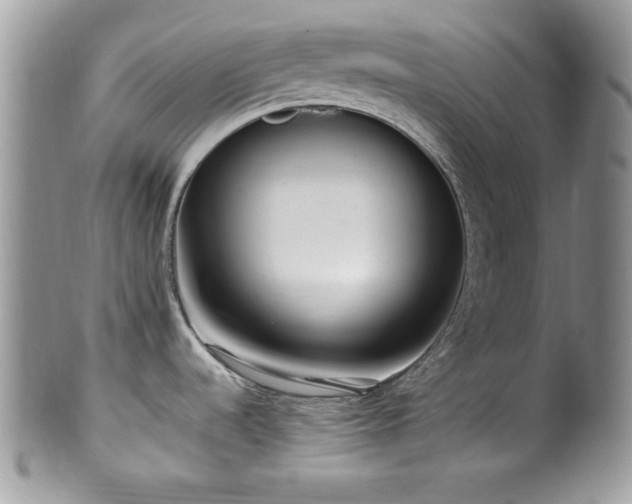 X0000100341536200806051526