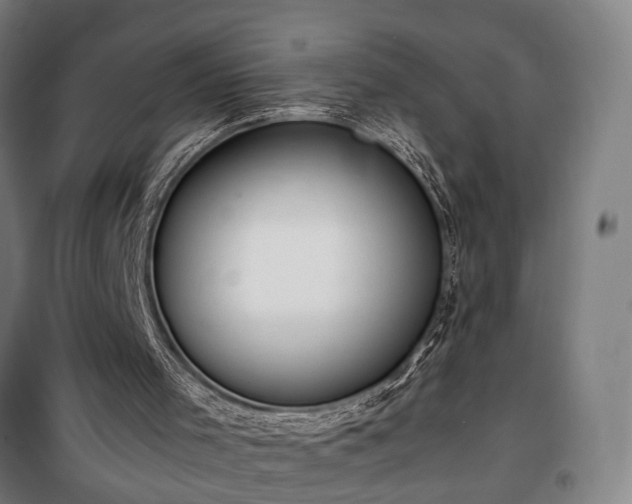 X0000100340001200806121202