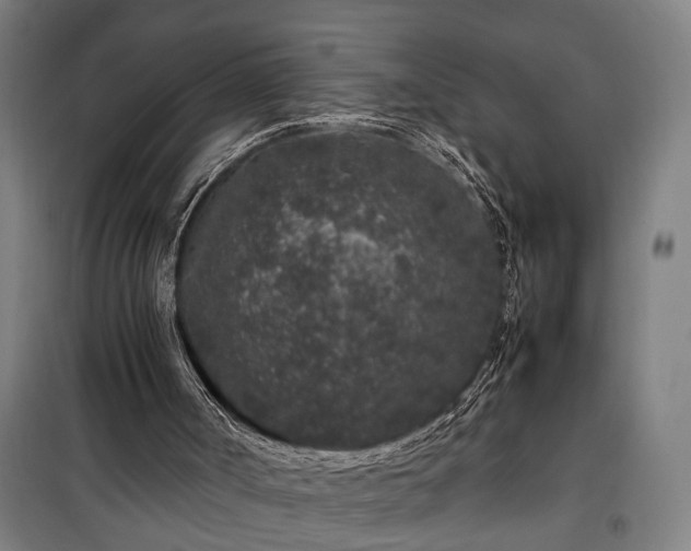 X0000100340002200806121202