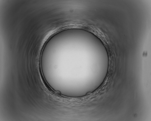 X0000100340003200806121202