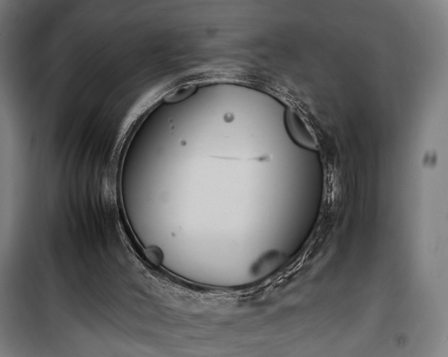 X0000100340004200806121202