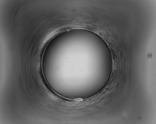 X0000100340005200806121202