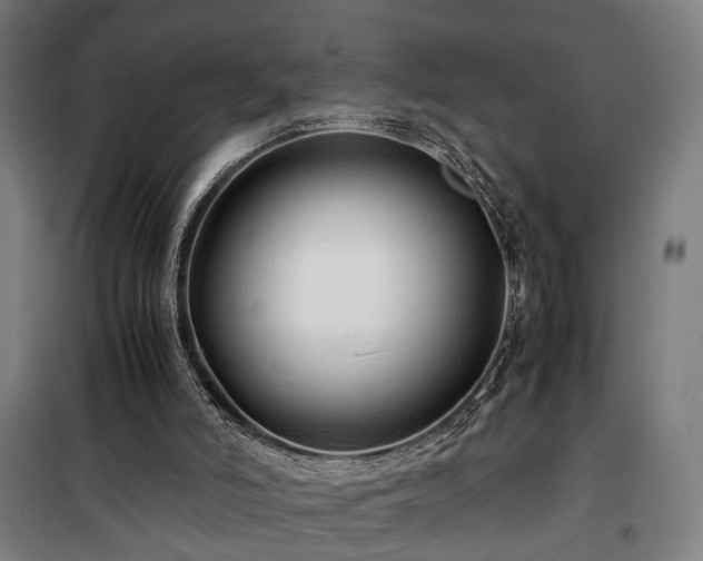 X0000100340006200806121202