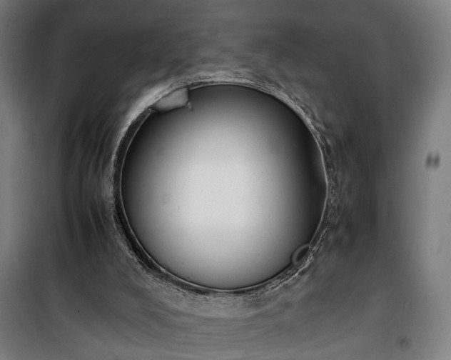 X0000100340008200806121202