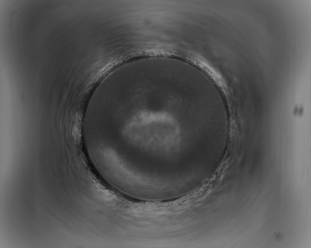 X0000100340009200806121202