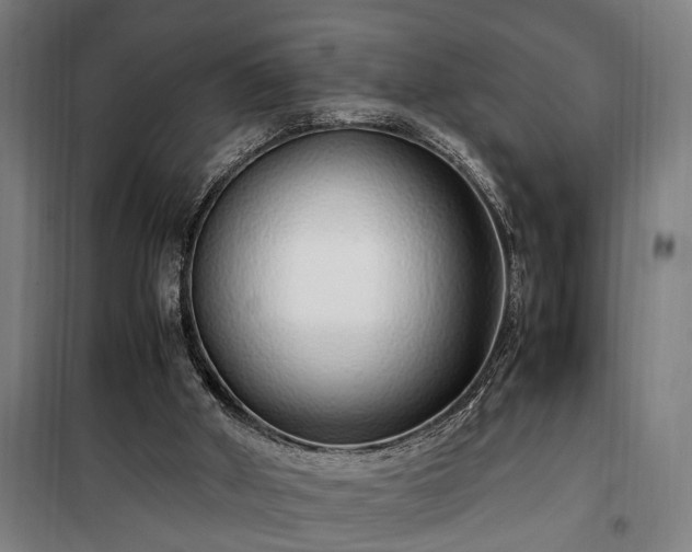 X0000100340010200806121202