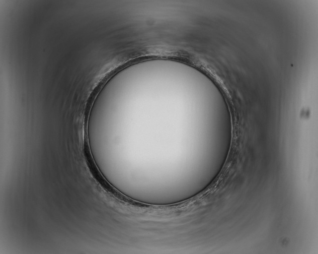 X0000100340011200806121202