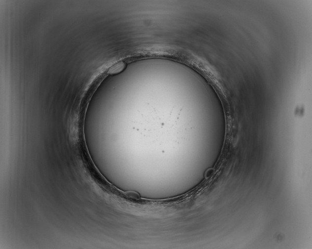 X0000100340012200806121202