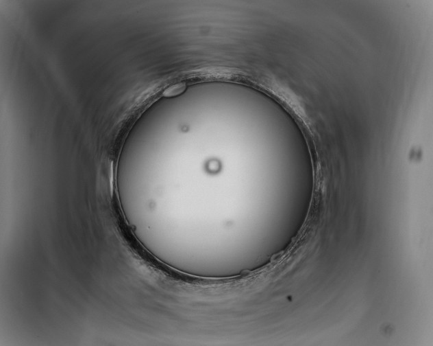 X0000100340013200806121202