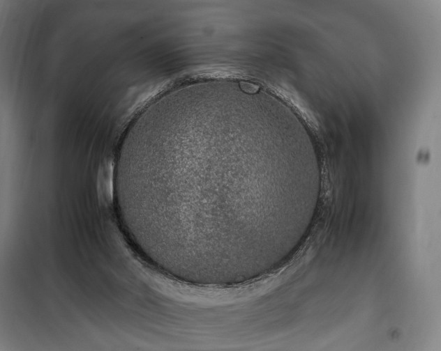 X0000100340014200806121202