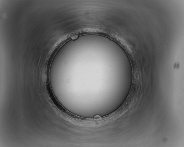 X0000100340015200806121202