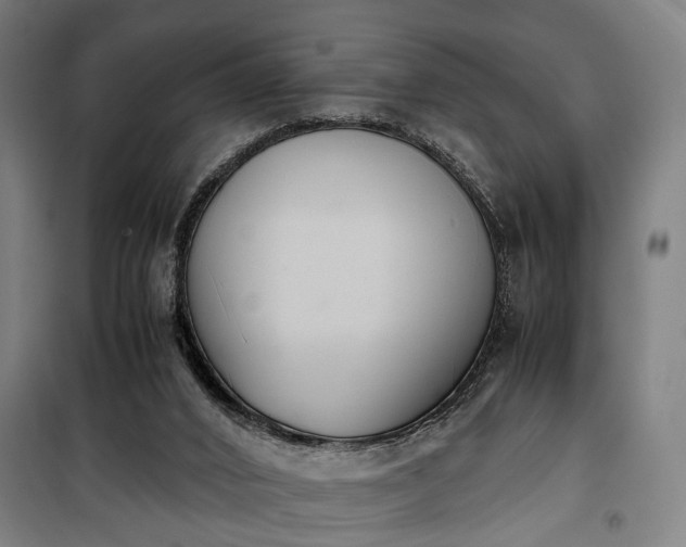 X0000100340016200806121202