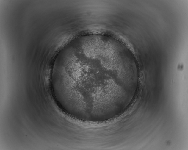 X0000100340018200806121202