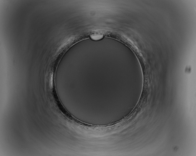 X0000100340019200806121202