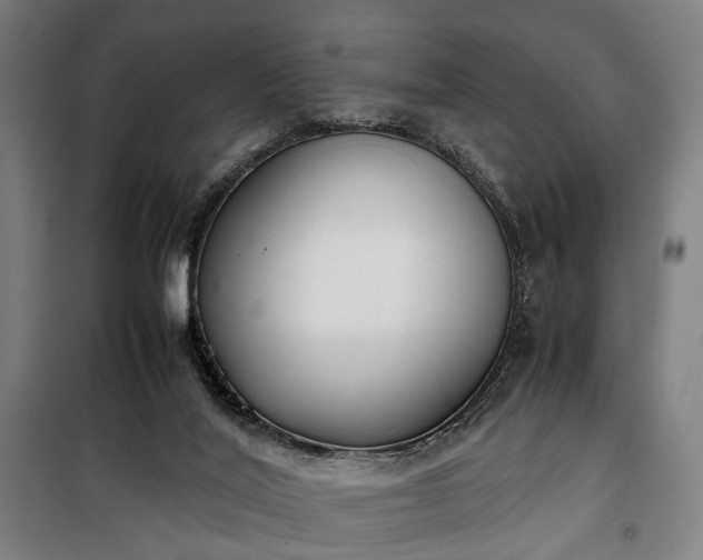 X0000100340020200806121201