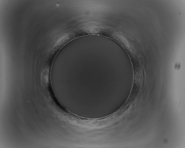 X0000100340023200806121201