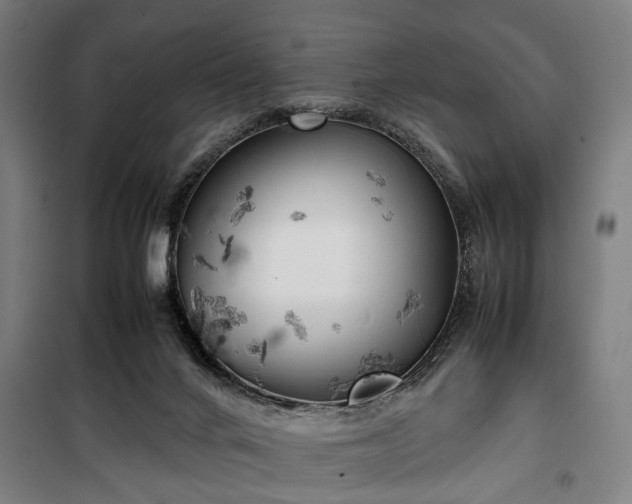 X0000100340024200806121201