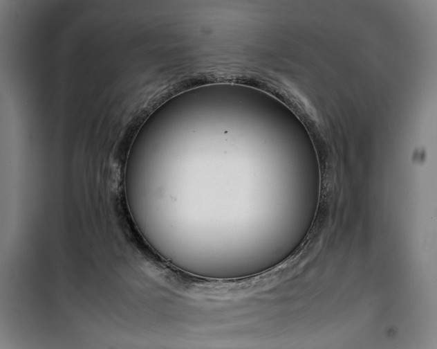 X0000100340025200806121201