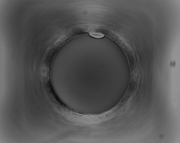 X0000100340031200806121201