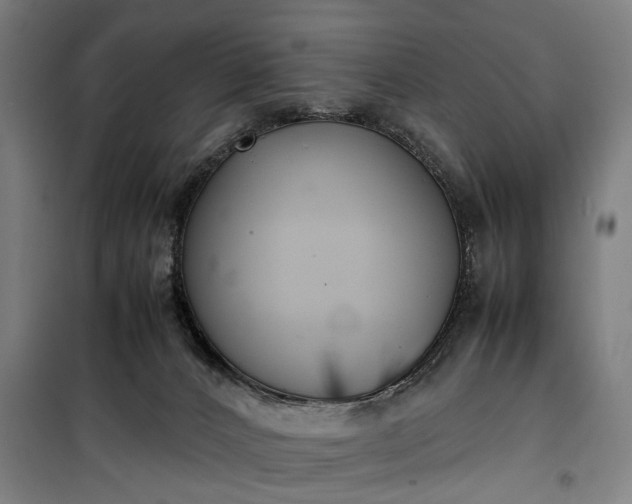 X0000100340032200806121201